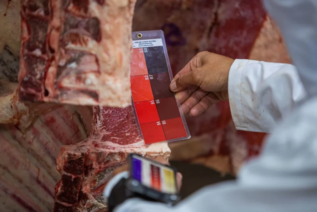 Abate para o mercado premium é feito a partir de padrões diferenciados de qualidade (carnes premium). Foto: VPJ/Divulgação